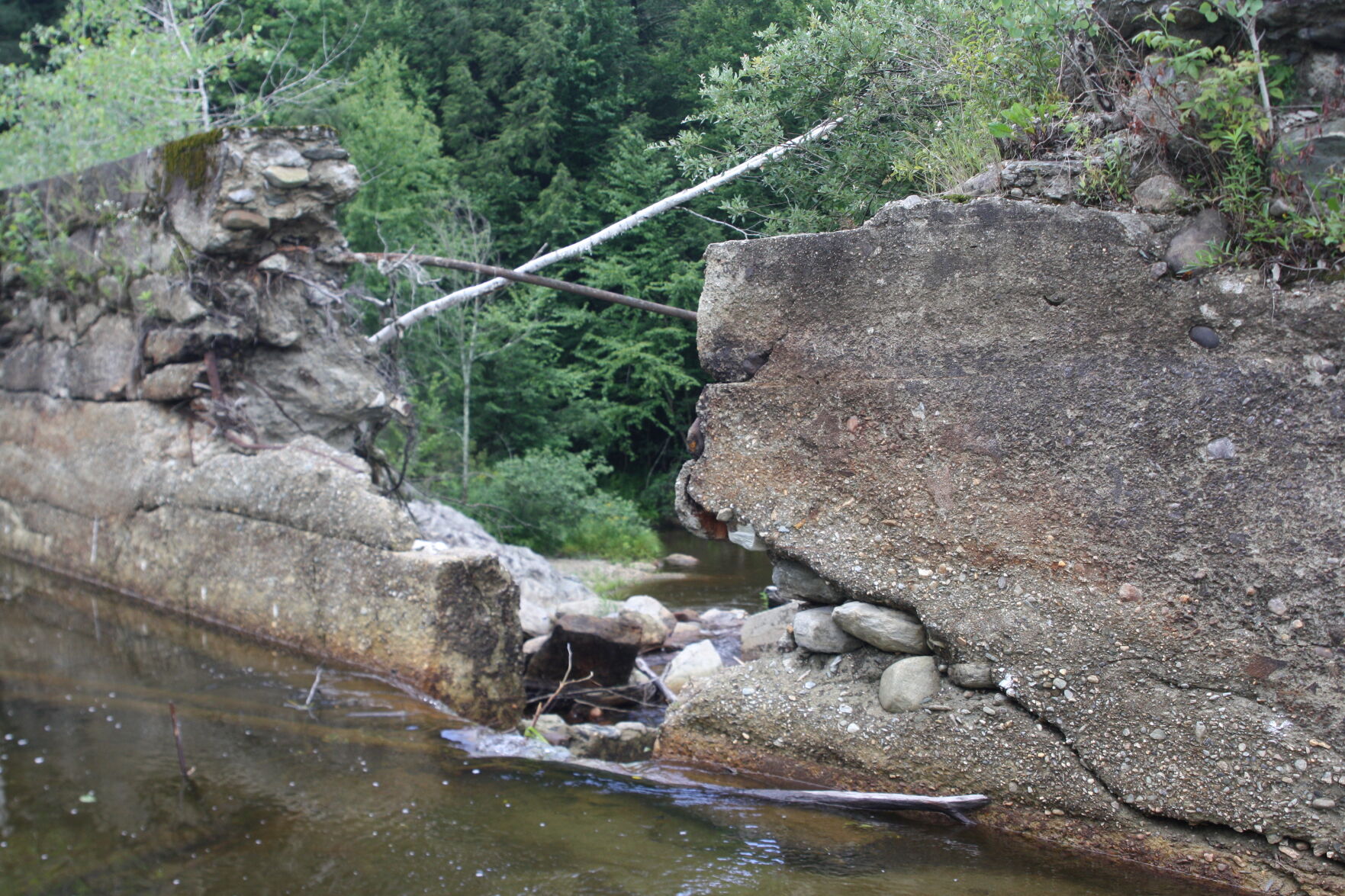 Johnson Mill Dam